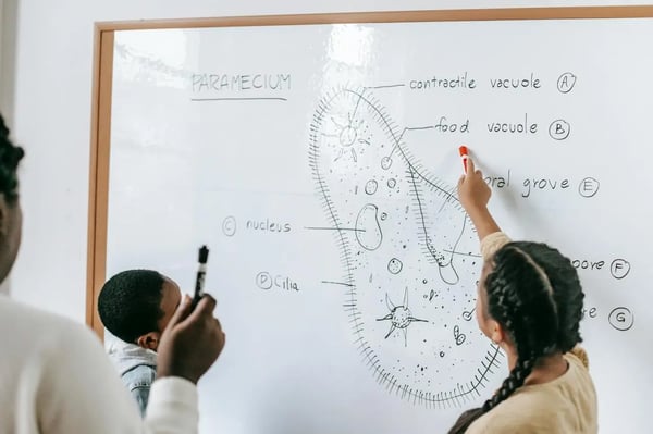 Students identify parts of a cell with the help of their teacher.