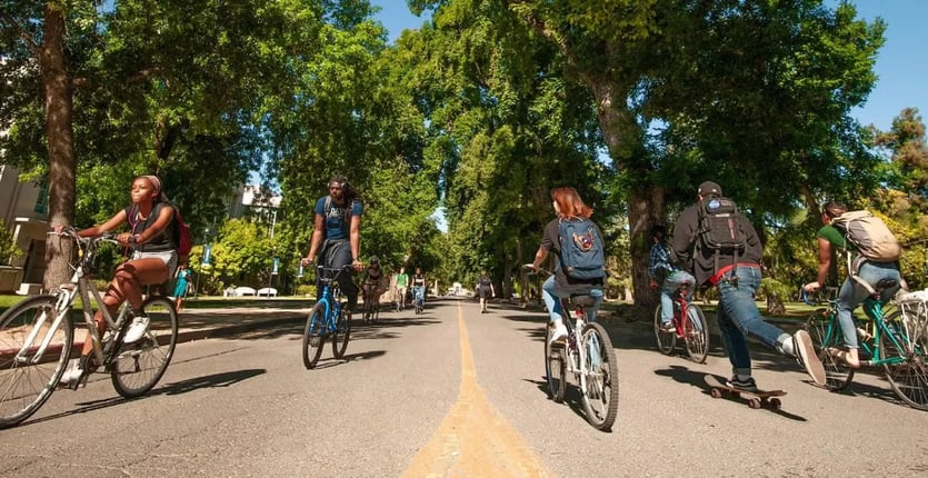 People biking on UC Davis campus