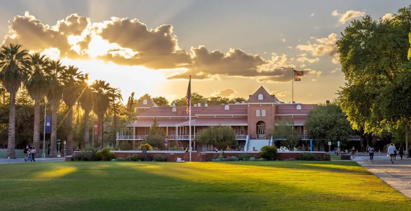 university of arizona campus with palm trees at sunset