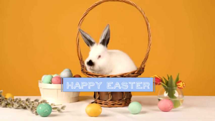 Easter’s greetings